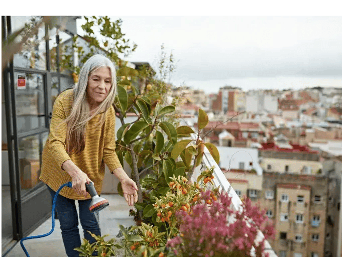 Ett klick ifrån ditt pris...