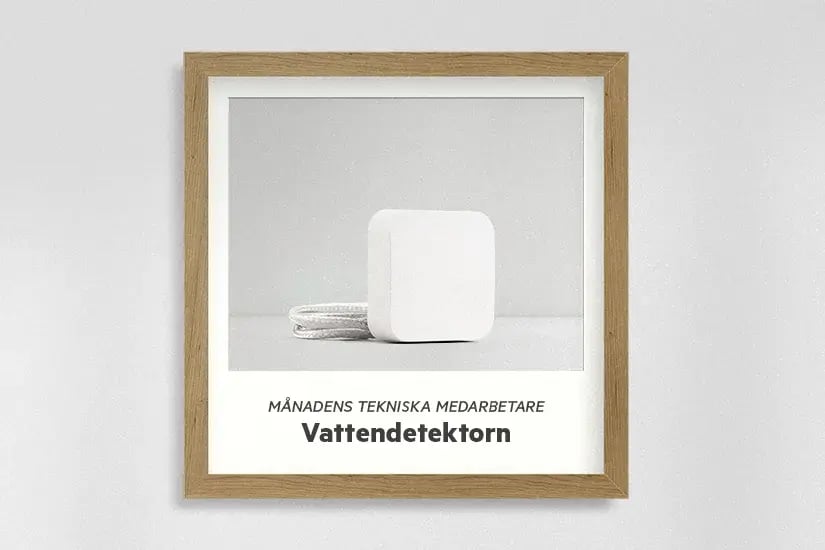 Månadens tekniska medarbetare: Vattendetektorn