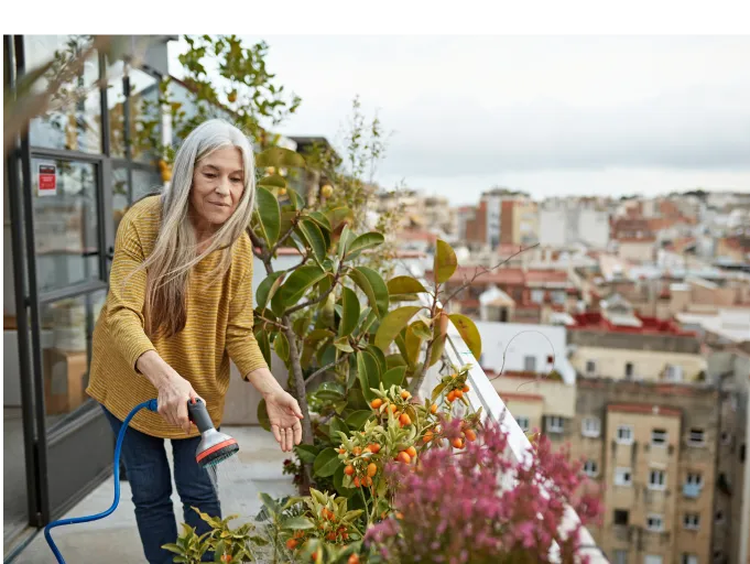 Ett klick ifrån ditt pris...