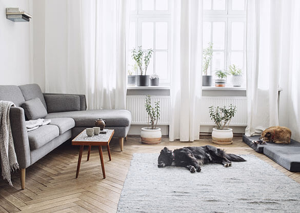 Styr lampor och annan elektrisk utrustning