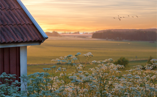 Smarta fördelar med larm i sommarstugan
